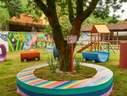 espaço do brincar com árvore e brinquedos coloridos